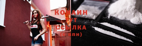 сатива Балахна