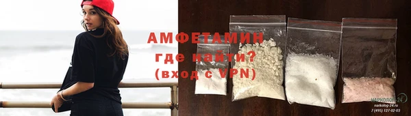 сатива Балахна