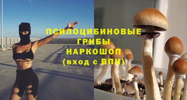 сатива Балахна
