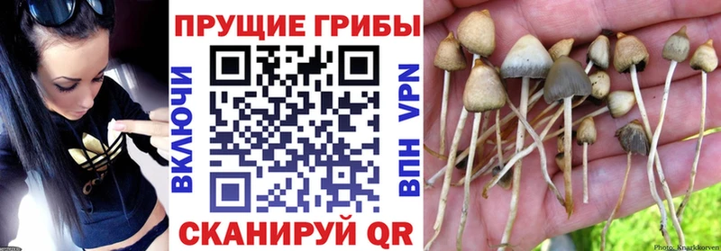 Псилоцибиновые грибы MAGIC MUSHROOMS  Лагань 